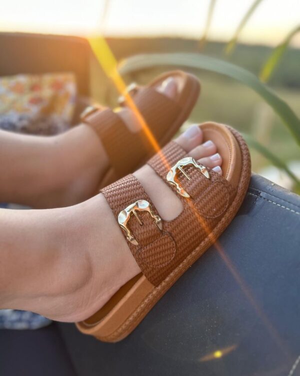 Birken Catarina